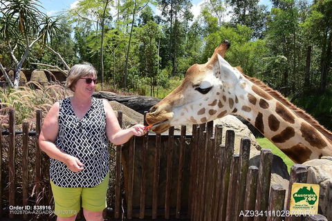 Small-Group Australia Zoo Day Trip From Brisbane - Accommodation in Surfers Paradise 2