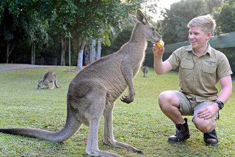 Small-Group Australia Zoo Day Trip From Brisbane - Accommodation in Surfers Paradise 4