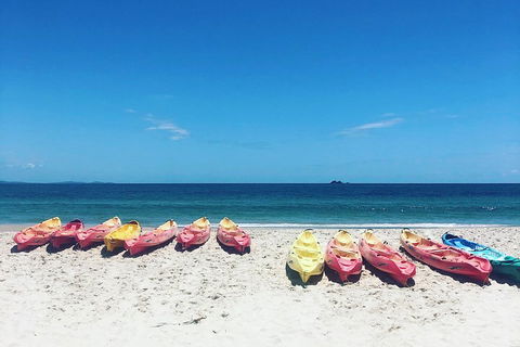 Kayaking With Dolphins In Byron Bay Guided Tour - Accommodation in Surfers Paradise 1