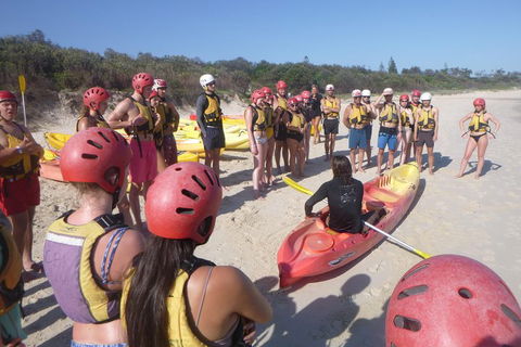Kayaking With Dolphins In Byron Bay Guided Tour - Accommodation in Surfers Paradise 2