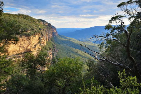 Blue Mountains Day Tour With Wildlife At Sunset From Sydney - Accommodation in Surfers Paradise 5