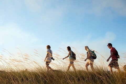 Kakadu National Park Wildlife And Ubirr Rock Art Tour From Darwin City - Accommodation in Surfers Paradise 4