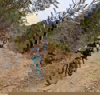 Mount Lofty Descent Bike Tour from Adelaide - Accommodation in Surfers Paradise
