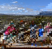 McLaren Vale Wine Tour by Bike - Accommodation in Surfers Paradise