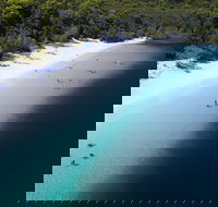 All-Inclusive Fraser Island Day Tour - Accommodation in Surfers Paradise