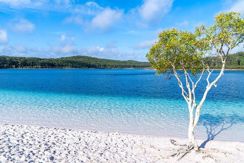 Lake McKenzie Full-Day Tour With Lunch From Hervey Bay - Accommodation in Surfers Paradise 1