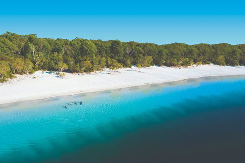 Lake McKenzie Full-Day Tour With Lunch From Hervey Bay - Accommodation in Surfers Paradise 4