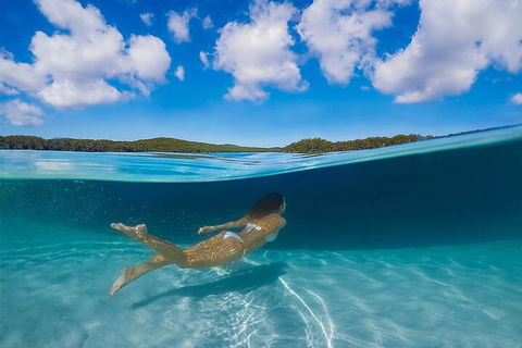 Lake McKenzie Full-Day Tour With Lunch From Hervey Bay - Accommodation in Surfers Paradise 5