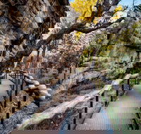 Kakadu National Park Cultural Experience - Accommodation in Surfers Paradise