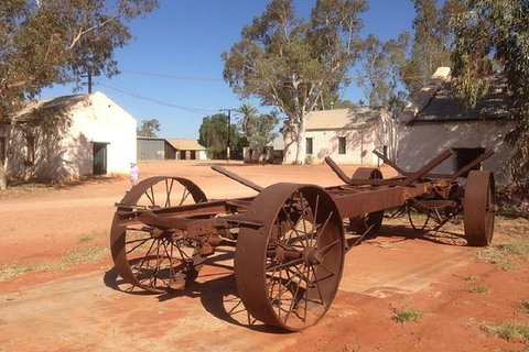 Palm Valley 4WD Day Tour - Accommodation in Surfers Paradise 0