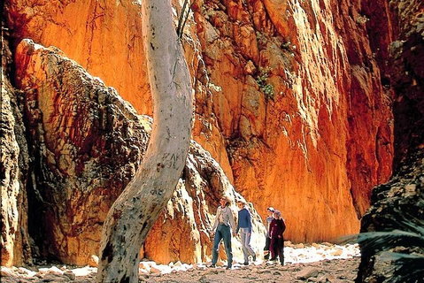 West MacDonnell Ranges Day Trip From Alice Springs - Accommodation in Surfers Paradise 3