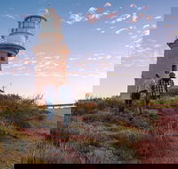 6-Day Coral Coaster from Perth to Exmouth One-Way via Monkey Mia Ningaloo Reef - Accommodation in Surfers Paradise