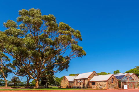 McLaren Vale And Glenelg Wine Tasting And Sightseeing (Half-day Afternoon) - Accommodation in Surfers Paradise 5