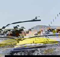 30-minute Jet Blast Express Ride - Accommodation in Surfers Paradise