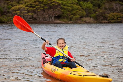 Kangaroo Island Self-Guided Kayaking On The Harriet River - Accommodation in Surfers Paradise 1
