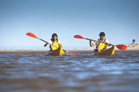 Kangaroo Island Self-Guided Kayaking On The Harriet River - Accommodation in Surfers Paradise 2