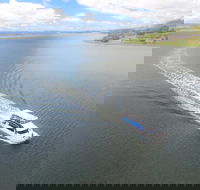 2.5 hour Afternoon Discovery Cruise including Cataract Gorge departs at 1 30 pm - Accommodation in Surfers Paradise