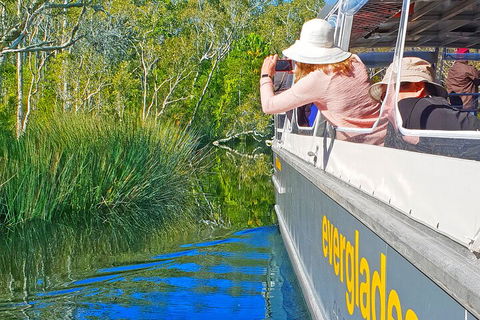 Noosa Everglades Serenity Cruise & Highlights Tour Inc. Lunch & Cruise - Accommodation in Surfers Paradise 2