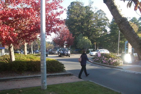 PRIVATE All-Day Blue Mountains Tour With Professional Guide For Up To 4 People - Accommodation in Surfers Paradise 1