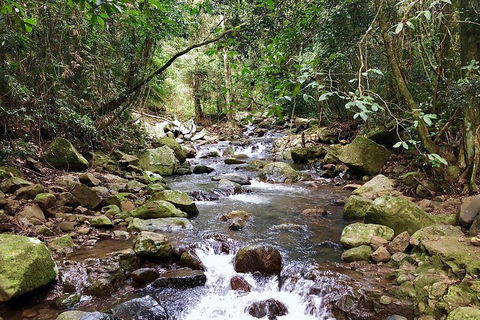 Exclusive Private Tour - Design Your Own - Accommodation in Surfers Paradise 1