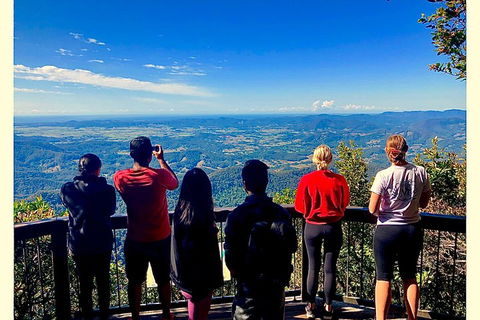 Exclusive Private Tour - Design Your Own - Accommodation in Surfers Paradise 2