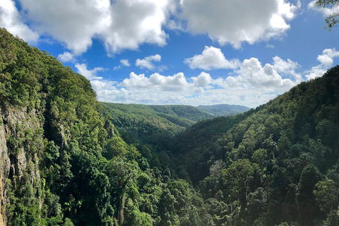 Exclusive Private Tour - Design Your Own - Accommodation in Surfers Paradise 3