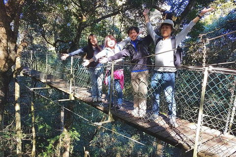 Exclusive Private Tour - Design Your Own - Accommodation in Surfers Paradise 5