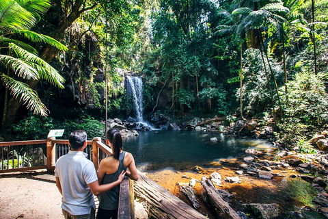 Aquaduck & Your Choice Of Gold Coast Rainforest Tour - Accommodation in Surfers Paradise 0