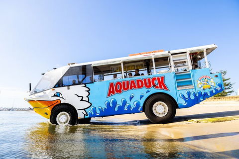 Aquaduck & Your Choice Of Gold Coast Rainforest Tour - Accommodation in Surfers Paradise 3