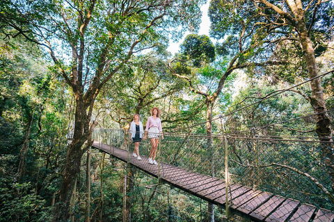 Aquaduck & Your Choice Of Gold Coast Rainforest Tour - Accommodation in Surfers Paradise 4