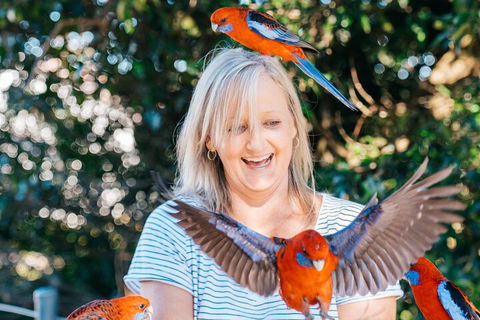 Aquaduck & Your Choice Of Gold Coast Rainforest Tour - Accommodation in Surfers Paradise 5