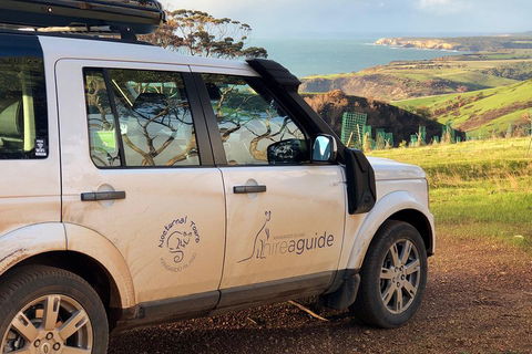 Kangaroo Island 4WD Tour - Best Of KI In 2 Days - Accommodation in Surfers Paradise 4