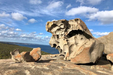 Kangaroo Island 4WD Tour - Best Of KI In 2 Days - Accommodation in Surfers Paradise 5
