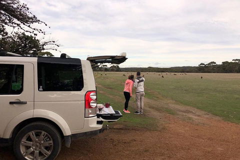 Kangaroo Island 4WD Tour - Flinders Chase - Accommodation in Surfers Paradise 3