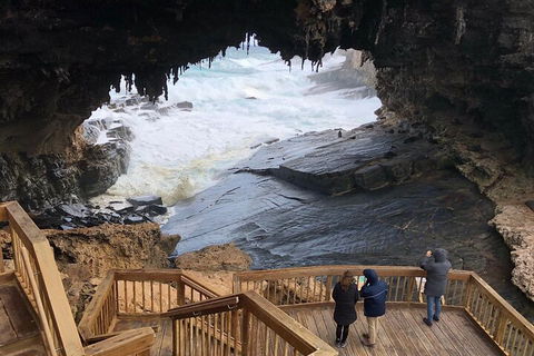 Kangaroo Island 4WD Tour - Best Of KI - Accommodation in Surfers Paradise 1