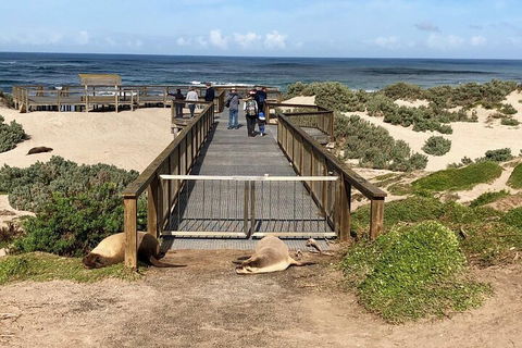 Kangaroo Island 4WD Tour - Best Of KI - Accommodation in Surfers Paradise 2