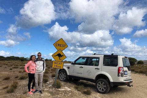 Kangaroo Island 4WD Tour - Best Of KI - Accommodation in Surfers Paradise 5