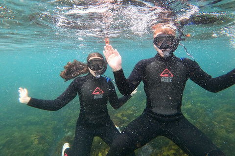 Manly Snorkel Trip And Nature Walk With Local Guide - Accommodation in Surfers Paradise 3