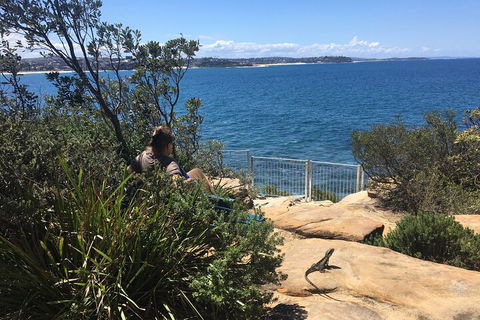 Manly Snorkel Trip And Nature Walk With Local Guide - Accommodation in Surfers Paradise 4