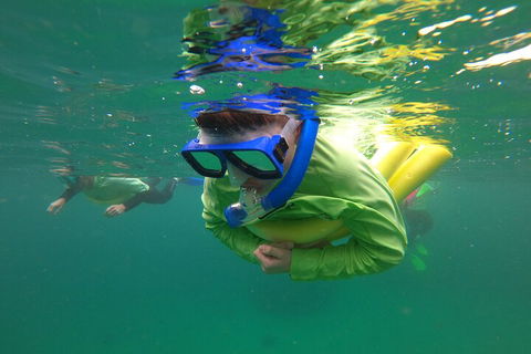 Manly Snorkel Trip And Nature Walk With Local Guide - Accommodation in Surfers Paradise 5