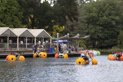 Yarra Valley, Dandenong Ranges Inc. Lunch With Wine,plus Morning Tea,chocolate - Accommodation in Surfers Paradise 1