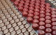 Yarra Valley, Dandenong Ranges Inc. Lunch With Wine,plus Morning Tea,chocolate - thumb 2