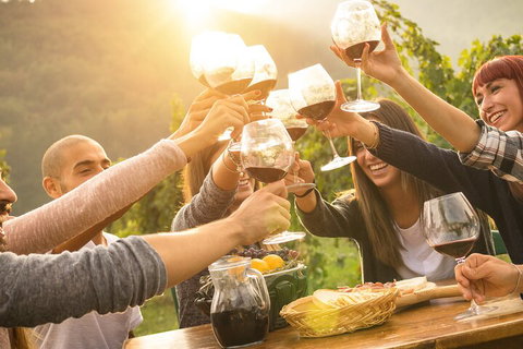 Yarra Valley, Dandenong Ranges Inc. Lunch With Wine,plus Morning Tea,chocolate - Accommodation in Surfers Paradise 4