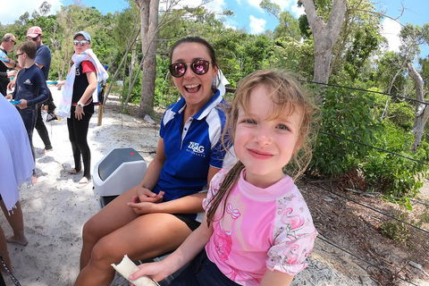 Whitehaven Beach Day Tour With Snorkel In Whitsundays Island - Accommodation in Surfers Paradise 1