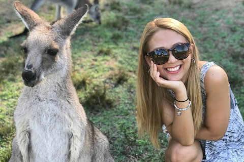 PJ Blue Mountains Supreme Day Tour - Accommodation in Surfers Paradise 2