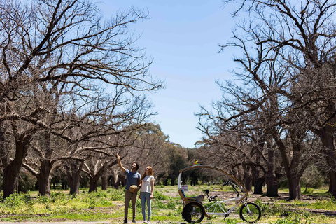 Adelaide 90-Minute Pedicab Tour: Scenic Green & River Experience - Accommodation in Surfers Paradise 1