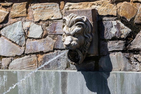 Adelaide 90-Minute Pedicab Tour: Scenic Green & River Experience - Accommodation in Surfers Paradise 3