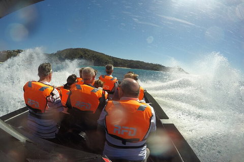 Noosa Thriller - 500hp Ocean Adventure Ride - Accommodation in Surfers Paradise 3