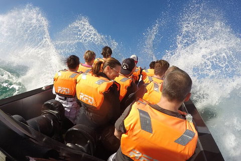 Noosa Thriller - 500hp Ocean Adventure Ride - Accommodation in Surfers Paradise 4