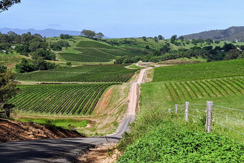 The Complete Hunter Valley Wine Tour Of Pokolbin, Mt View, Lovedale And Rothbury - Accommodation in Surfers Paradise 0